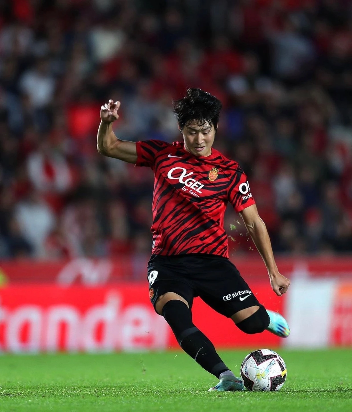 KakaoTalk_Photo_2023-08-03-19-28-20 001.jpeg