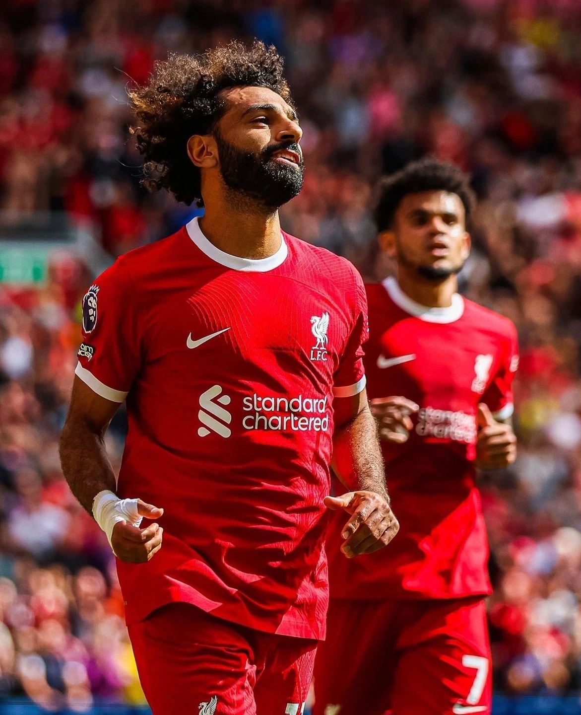 KakaoTalk_Photo_2023-08-24-14-31-59 006.jpeg