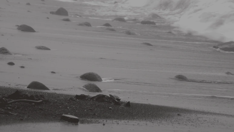 %EB%8F%8C3.png?type=w773