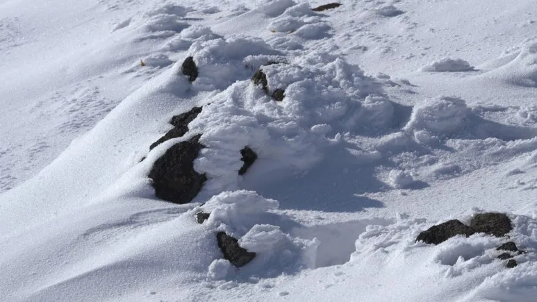 %EB%8F%8C4.jpg?type=w773