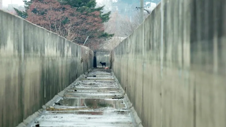 %EC%83%9D%EC%B8%84%EC%96%B4%EB%A6%AC.jpg?type=w773