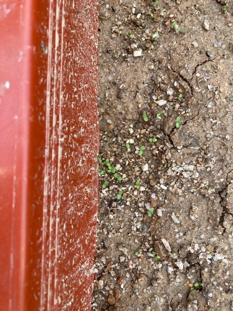 wgzbbjh6dj19pnz6ghcxg7hktygb