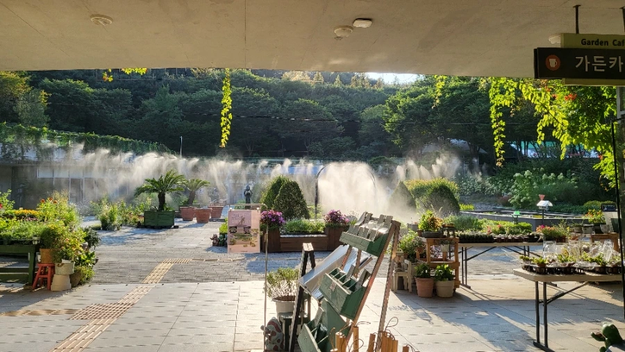 900%EF%BC%BF20250902%EF%BC%BF171901.jpg?type=w1