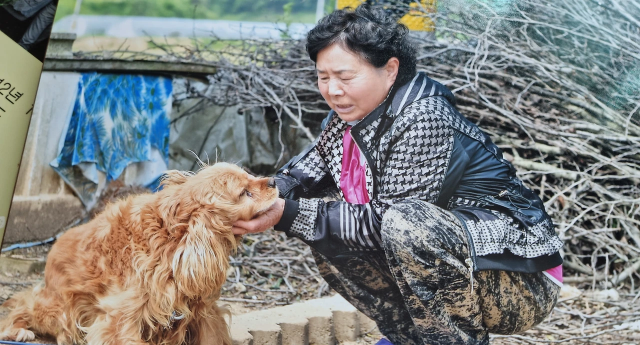 팔순으로 가는 어머니.bmp