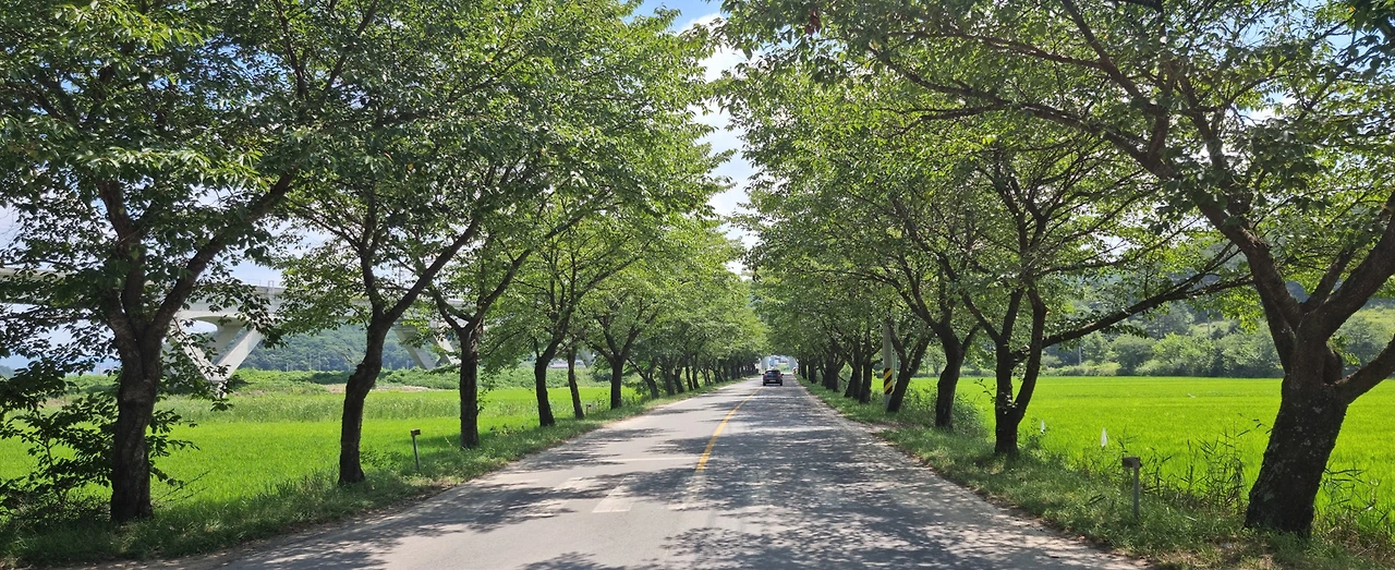 답답해 고향으로 내려간다.bmp