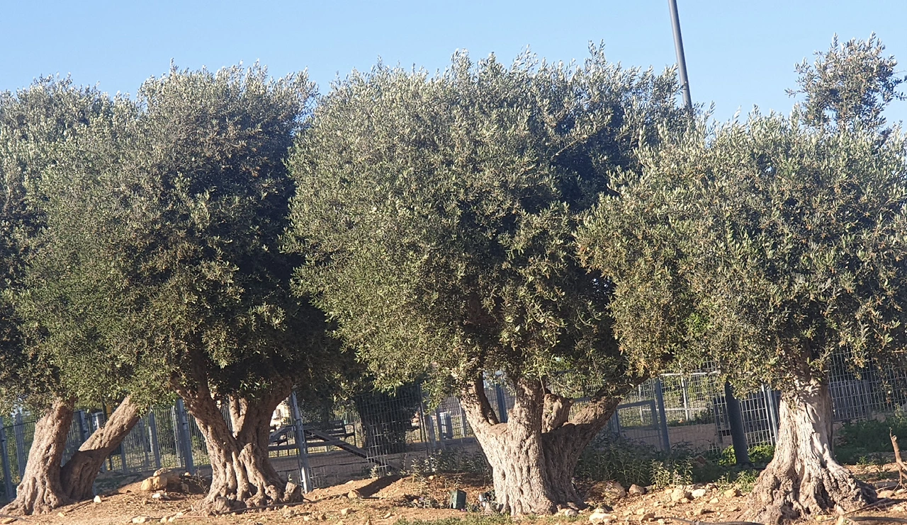 시를 다시 배우고 싶다 2.bmp