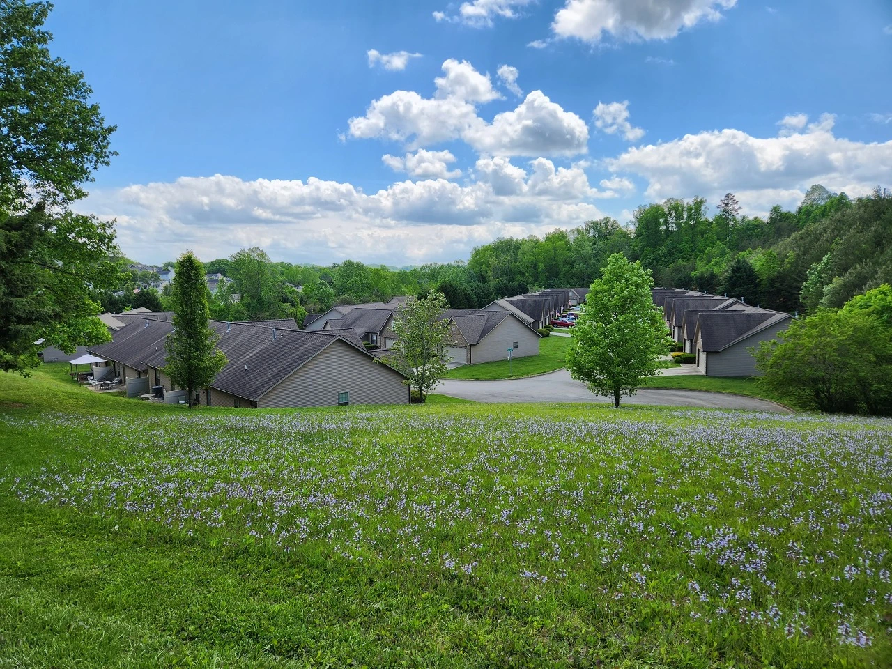 7MxRoBVb9njqLsoMxUtLW7Ob890