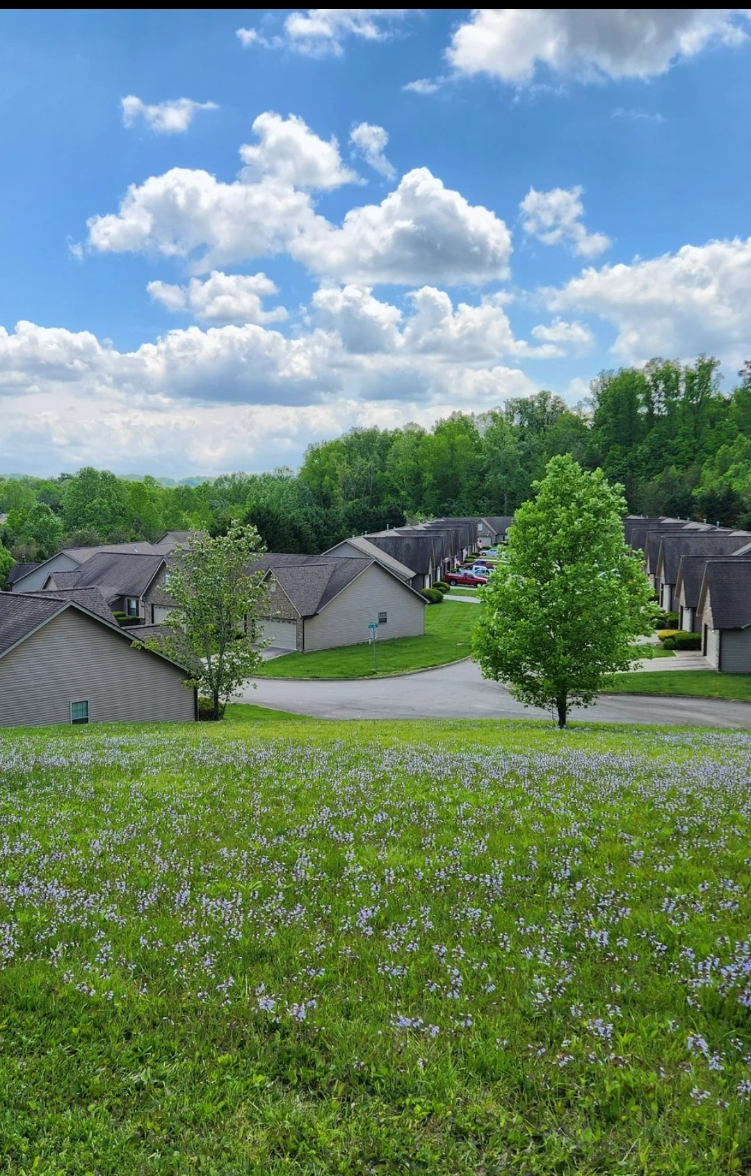 jbZcyttsvFm9fI_UpNv0lrDTsdw