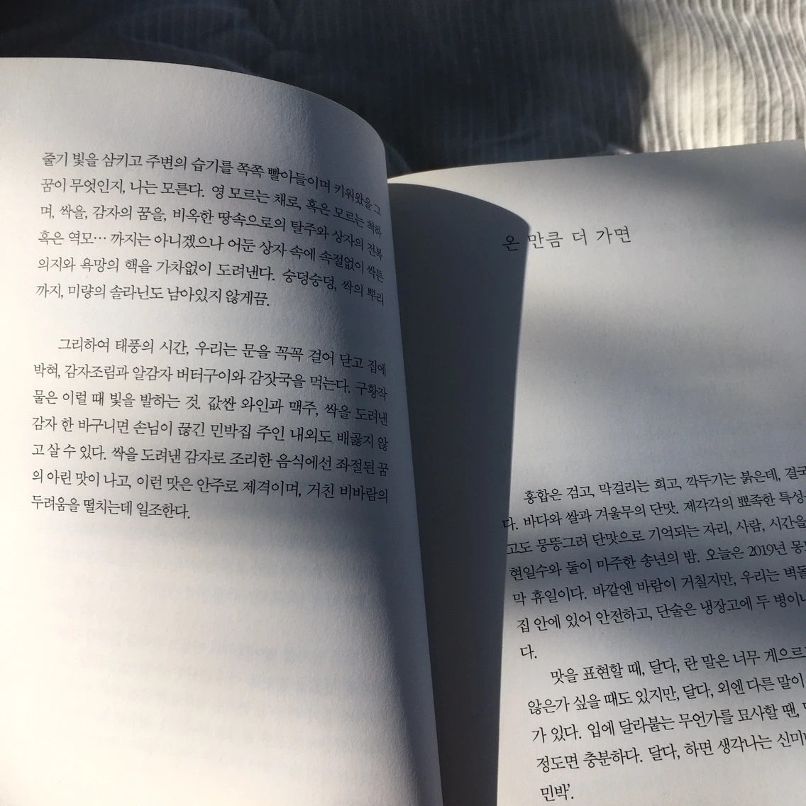 KakaoTalk_Photo_2023-09-08-11-51-35 003.jpeg