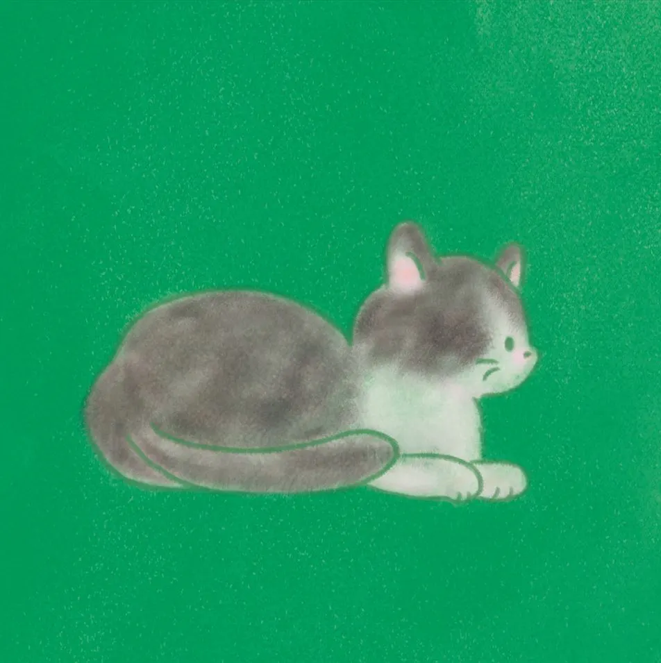 저용량 고양이04.JPG