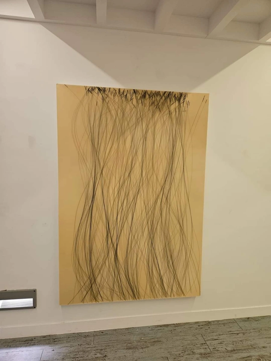 FB%EF%BC%BFIMG%EF%BC%BF1680490320586.jpg?type=w966