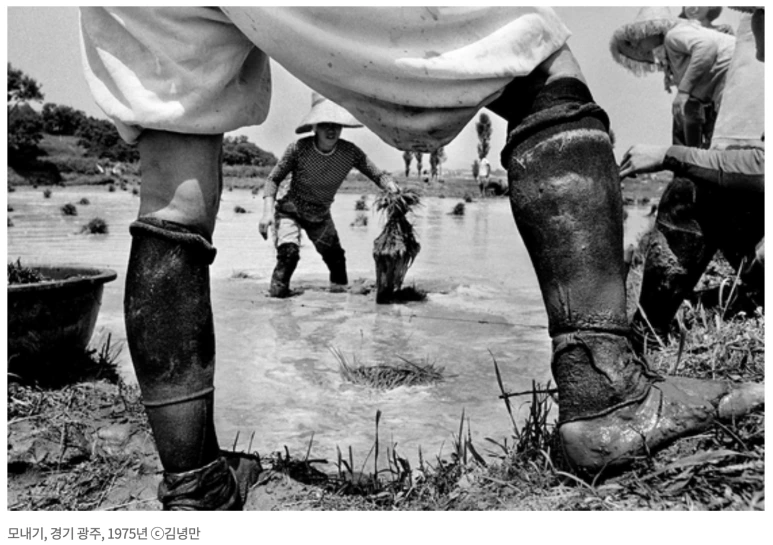 %EC%8A%A4%ED%81%AC%EB%A6%B0%EC%83%B7_2024-07-04_%EC%98%A4%ED%9B%84_12.28.39.png?type=w773