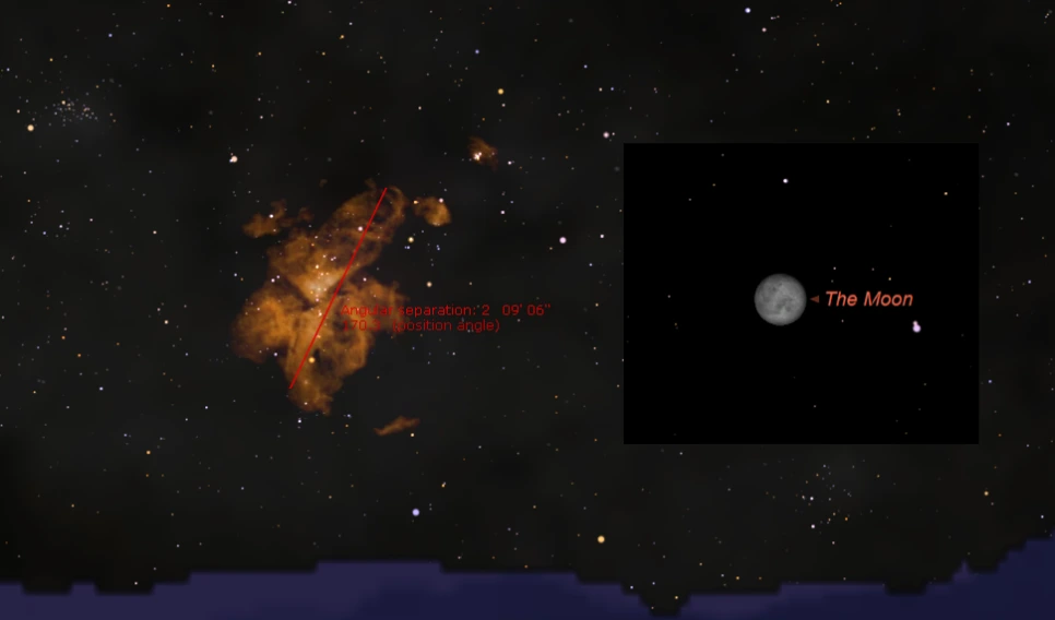 etacarina%EB%8B%AC%ED%81%AC%EA%B8%B0%EB%B9%84%EA%B5%90.png?type=w966