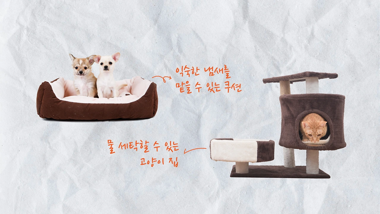 eesOk_eOh9jqqijXxd-DeOTFSvHVSyveiO4AnFEwajx2PCuKMDP905OSrWp_GrpCN_1jlUweien1B3c5eXTf59MLTYWbu-8LT8FMNKCG9N4qYp0guSei8ps=s0