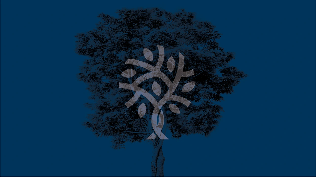 Lc0jw_mC5s2mPDAezDHQdge_iv0zZRNF8qQND-Wfq2lsB3qWeZDLbyAtjCrXmaj3YERy8chmOpBIipteGg7BzHjjx9Lt7-u4QrSSLPeDDZMWBX-ucUqUkBQ=s0