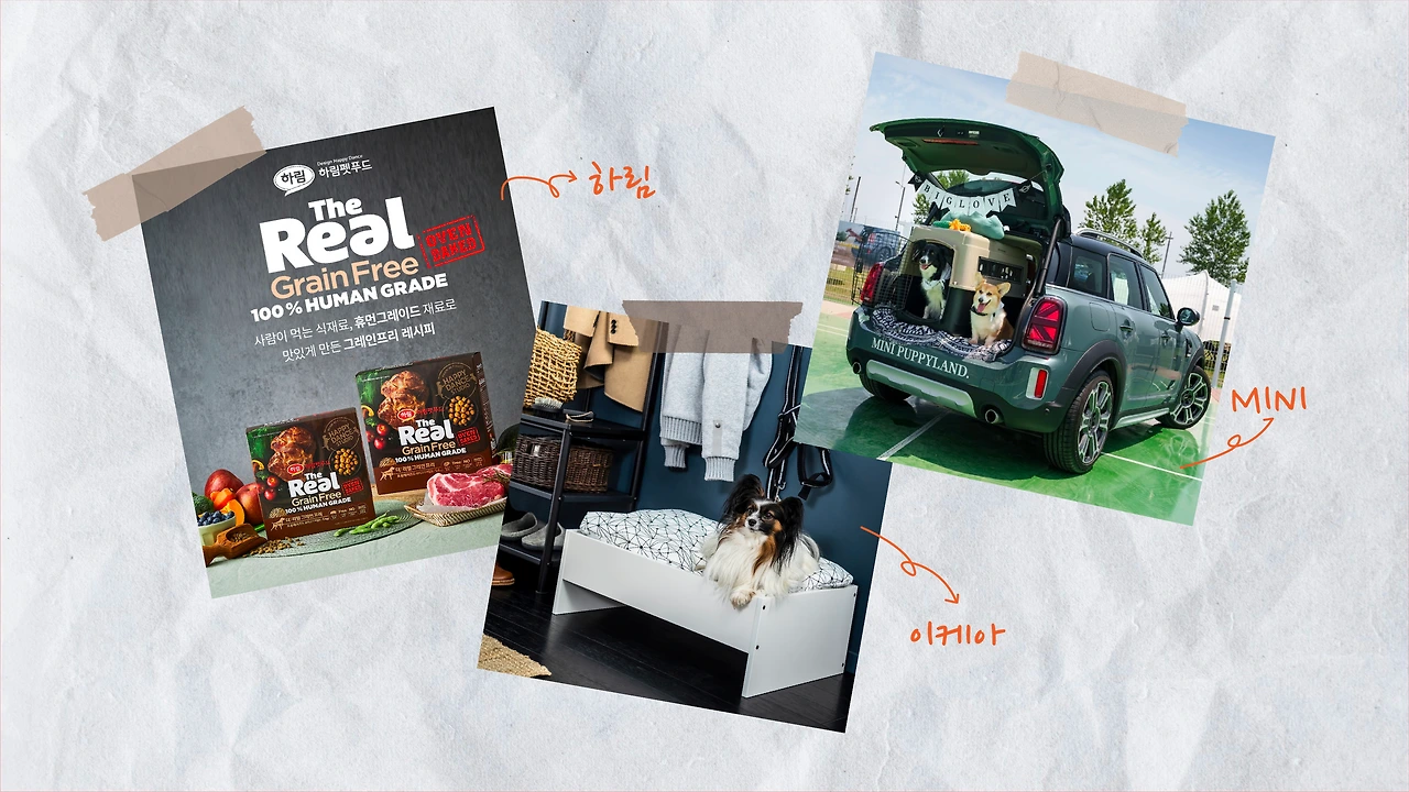 lPNlmK3wCPqLd4lC1UJkviq_ARAZAfeqdK8J4fHHCtl07QeGsa-DTb0XR_A68JspsVW9tbbJiUGdjhDnHuaFB0atFeZ8wOfzXnTm2ePM1LgxU9mLT5WLKZs=s0