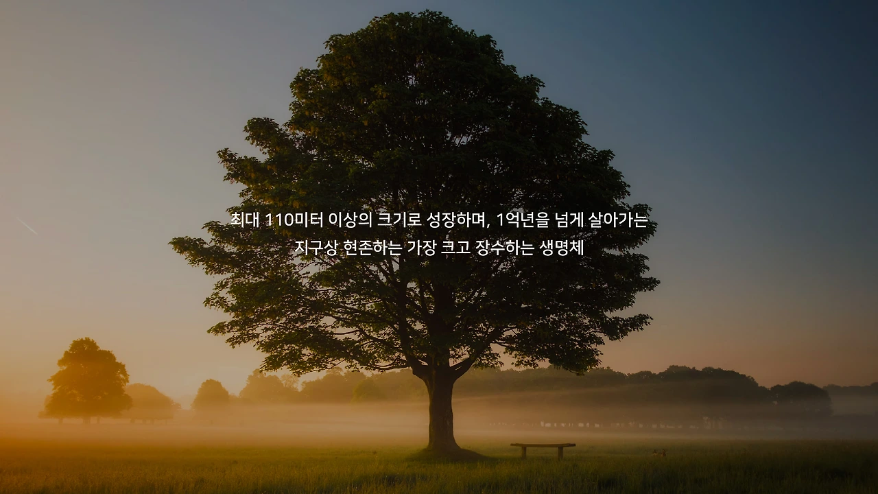 ePxRBpeEiS1f9e6c--22Iu7gAFgV2xpE52PDOJlj6CfmDMCkuq7NkLu3gFOrkYFeOQW8BqV8Tf5LKTVWz6D9gL4U5nj1XPwEURDBHZ2AJndl_XCJZcS8GA=w1920-h1080-n