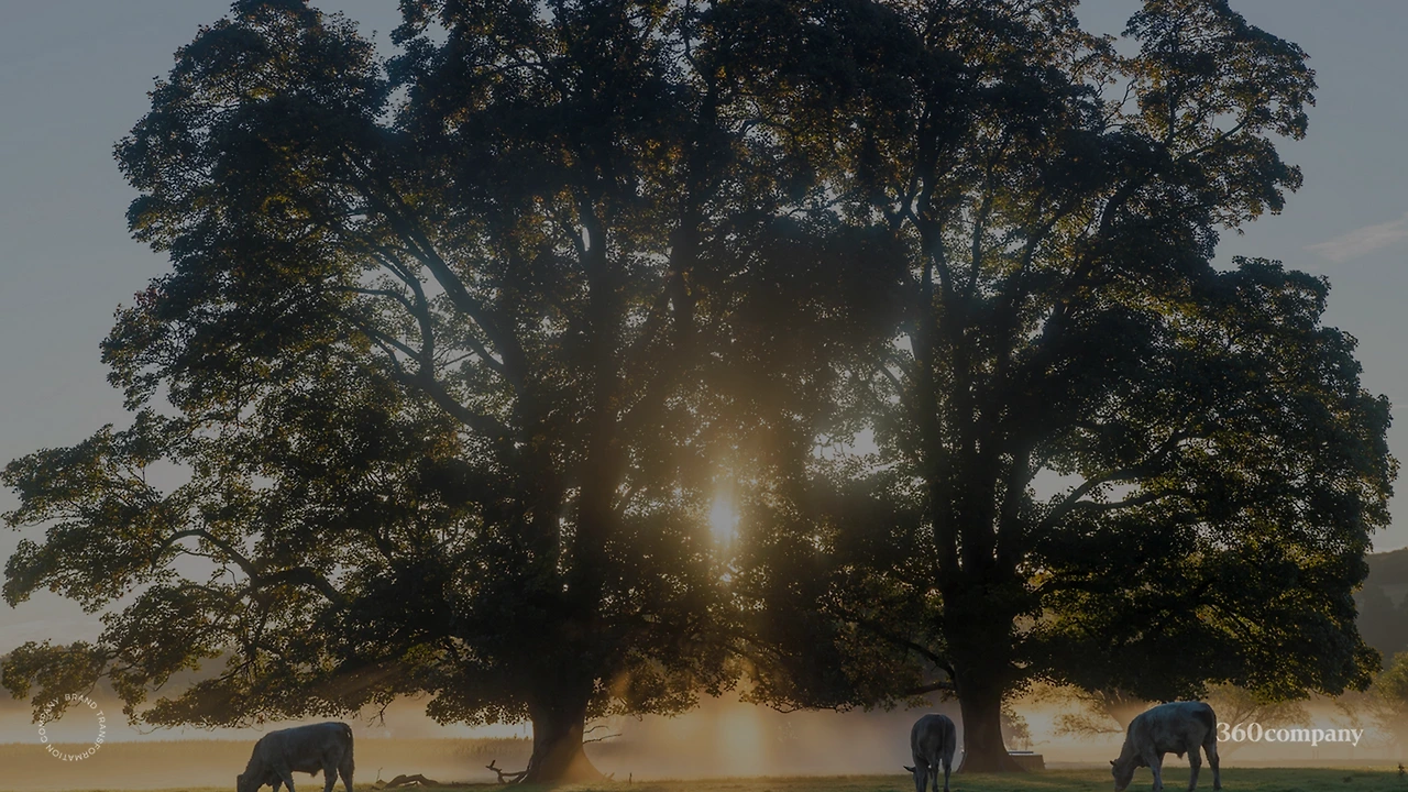 LqR_RtqMwj5whvVNkGy-sH1YrY6OP6MnuYKVD_gyeA5TE3xuEbqGAHkBuQw1EXJdZZCYTNEfir53JETlCPjpr-iXDg_4DCsOOUB-xYSCw88vbyfo4ICQeQo=w1920-h1080-n