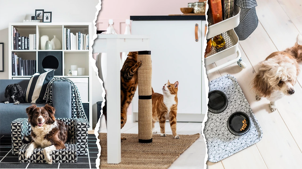 r9myZPPRikarmUSVvwbWTrV5m55xaY7eNaPC0D1q9bdkk5Rb-Hq8741yptESdZHE45tER_2O88w7oGJUzogh8ZS7f4czTlK9lc7eS7uQBQaEqYxNAseh=s0