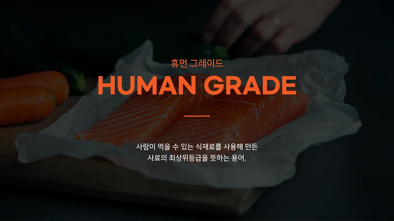 MfrQTAtlFg5vrB54HHRUenobKOW4dWpY-X2nK664iGgvbDDyQpc0zoXG43vM1QYWSLAMln6vN14oeIAXeaDGMBpsy3fgSdrghHrhZApZS548E2fKVeXWUg=s0