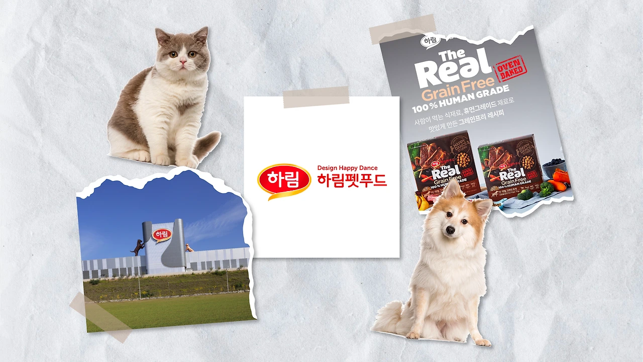 R29dYezWwO_C2F_9DghrGj-HXbg0iJJ-DhaFnZ_Cax2b_md2MZ0Urm7a2frj8DyRZSjF3oEJSfwRqXddb4wtlnIRHONrpxEZ5g1Ci0BU9Tf2tQ57Lj-7=s0