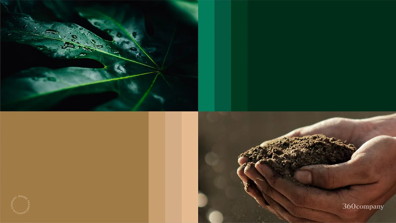 Ik3RNe-kUzKNFt_fjxq6jqXk0otT7q8qRMv7hYs99jdiiR17GAC7hJP6VX8Xu1ud6n9vZ1DUyYKiFTaf1zHduBRrNxTHVgHPf2sylos29yh9W-5y9lOQ=w1920-h1081-n