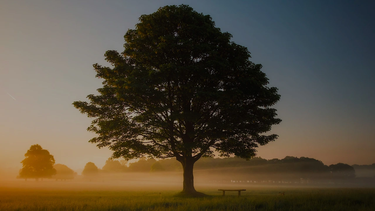 St9cyUNkxkXSr14IGiP-0YaIGo5tfB7GJ5jg03ajaXCAzuEic-R15RYzyGdyN1nS4O_sWBDVsJacPWYzQuKfnNCt-XZAjTK03VW-rH3yeJvYiZXAkWUE=w1920-h1080-n