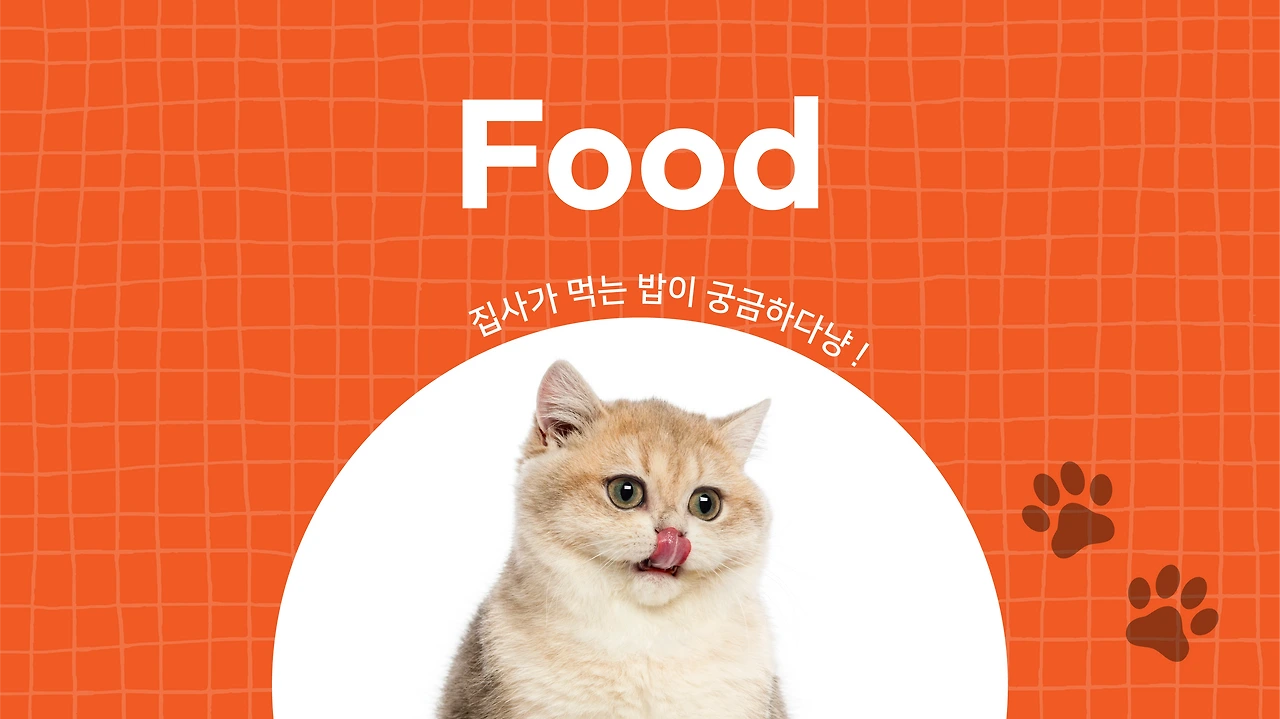 Spxg7OpMDM8MXzH-wD4Akow56Nx23s47k50OjBCjjtzCbzJlwqqLDNhTBqBI0E6yogC4SZcnoUUA5kiLayGgo7_kqb-SrBsW08_rNcOcDtCq6nQl20FD8w=s0