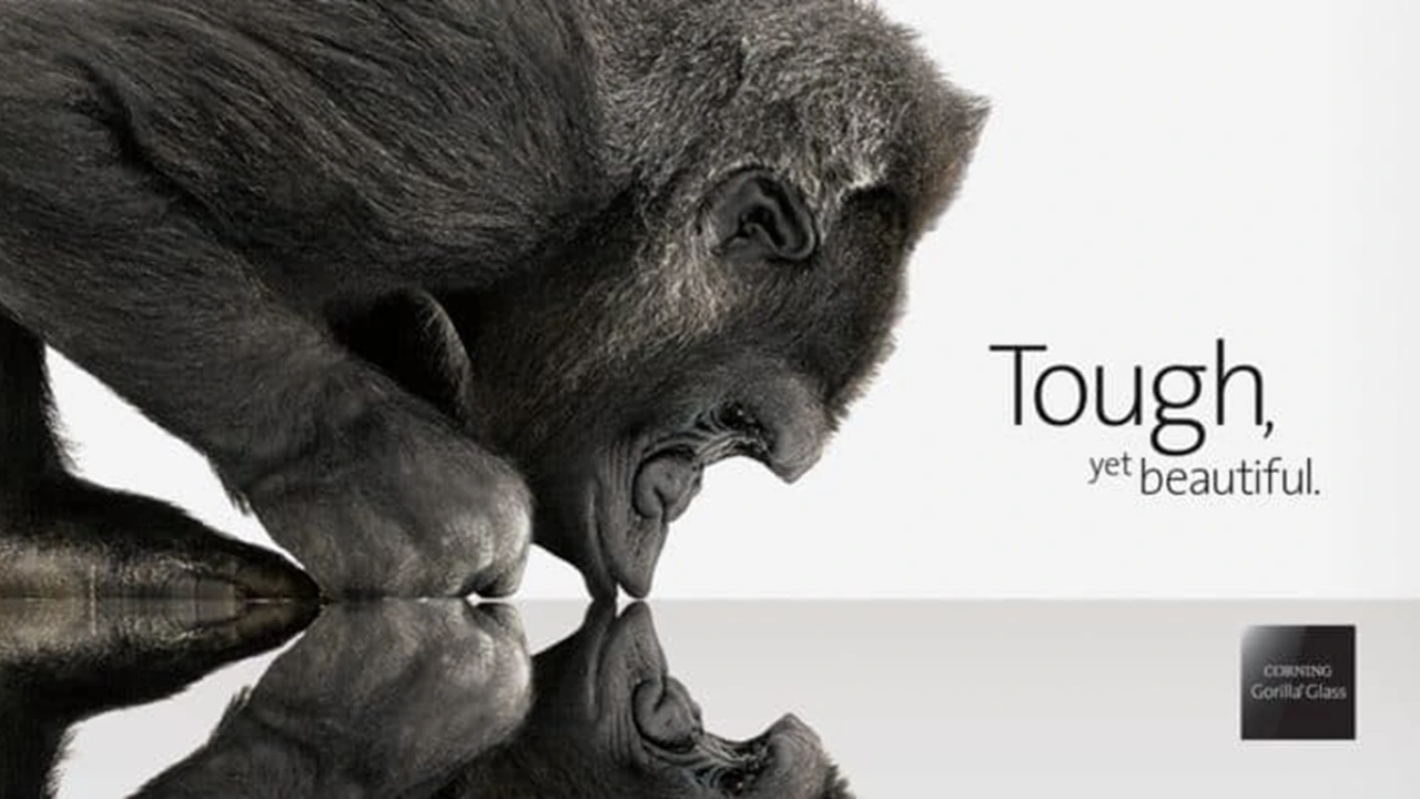 BF89MNa3JJKXmnCR-HyJ6p27trTV-JvY0yz7aFVbp8CKJcWs0iQ-Y99Ieb628IdVXCY6cRyxmv-LizK58bQDT3PcGZjW9RUdsEpw6dySNX5K7_GO53zlBCI=s0