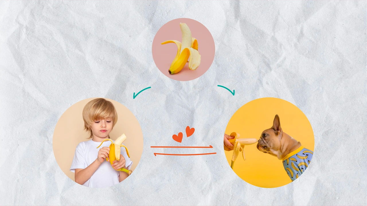 mDUVqSGeaH6EHgQRaTt5wWG10nJ6hDrpLX_WkN83RRf6rk5CIPDb81gY0mDFWiO6rJGsN4ZGcSXVlcqz3J0T28ARAING-STI7mY5LLjQ39MPHLQE_Igl8z4=s0