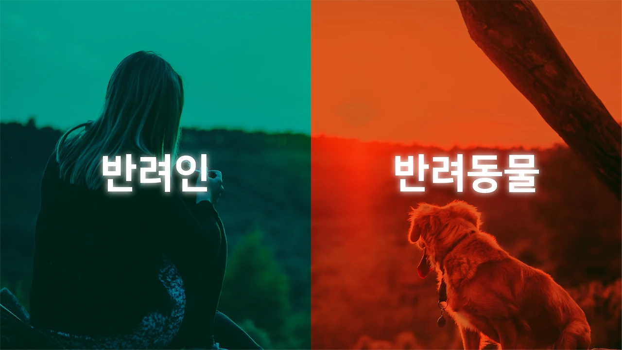 l3zcdcVTfeFU_Cmavx2o7WI3RRrrMKkFSNADgWjrIVVviJrqvf0ZOfCpV7tZ3eAenPr4wbudUXpdB1jnrUb6ObUoEHPv3--THz2bEtd1uH5uW-OYF59eQI8=s0