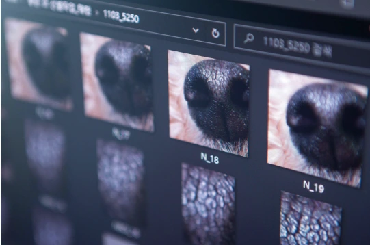 %EC%8A%A4%ED%81%AC%EB%A6%B0%EC%83%B7_2023-09-21_%EC%98%A4%ED%9B%84_4.10.34.png?type=w966