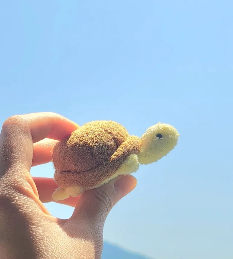 20240519_122601.jpg?type=w773