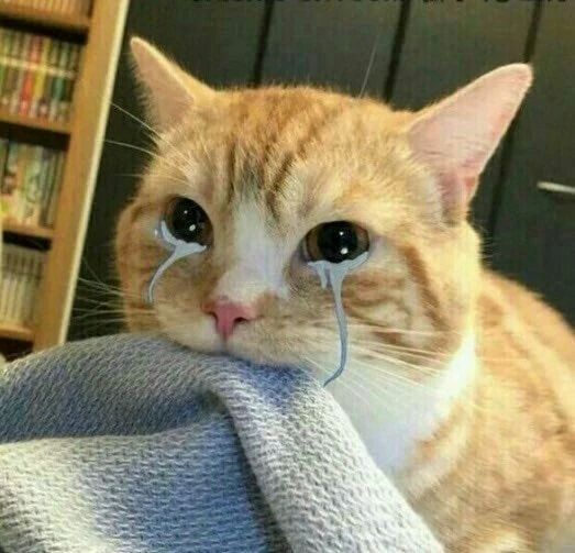 %EB%8B%A4%EC%9A%B4%EB%A1%9C%EB%93%9C.jpg?type=w773