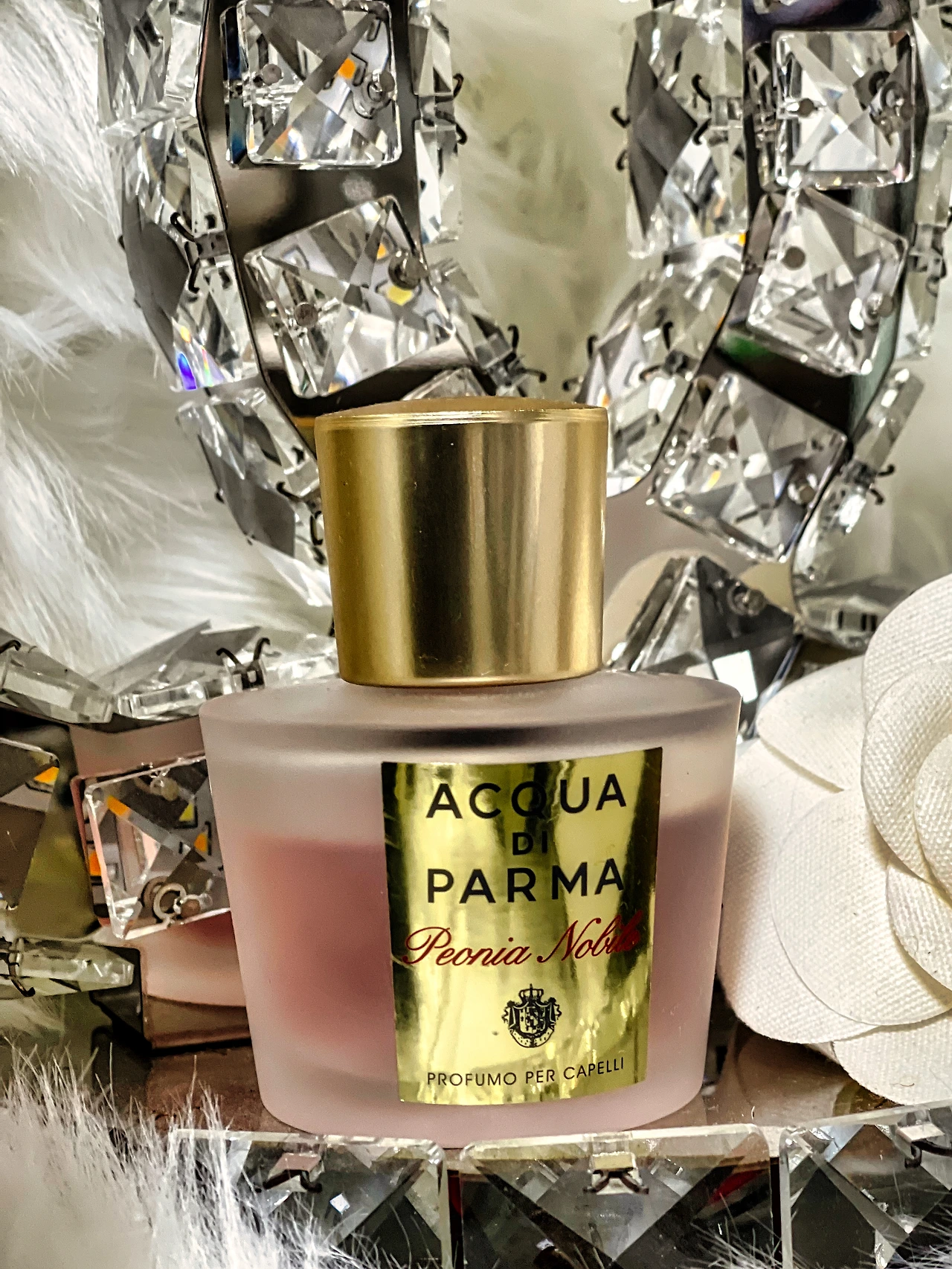 image0 (2)_보정본.jpeg