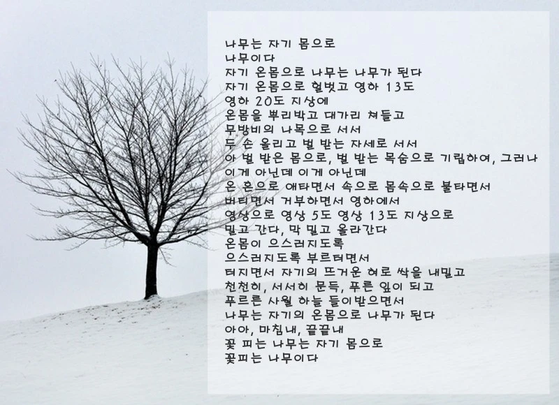 20160605_154931.jpg?type=w800