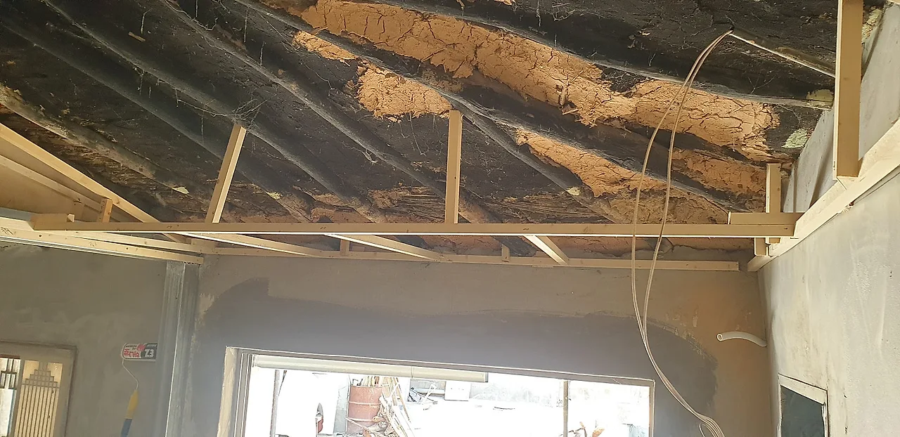 1623587887485.jpg?type=w1600