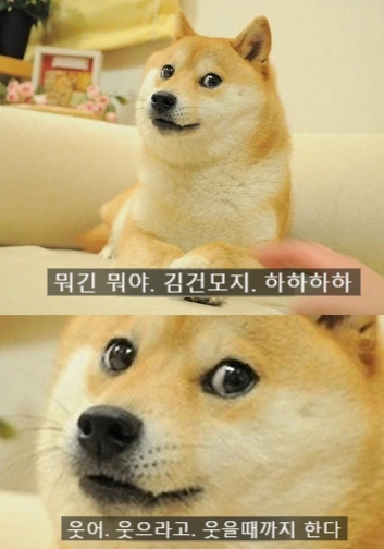 SE-6eb7cb91-02e4-4773-b97c-7d8de38b0ca4.png?type=w773