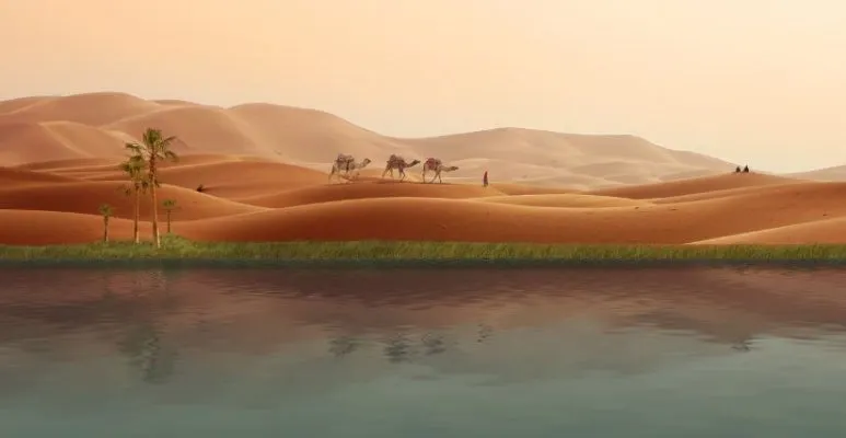 사막의 신기루.jfif