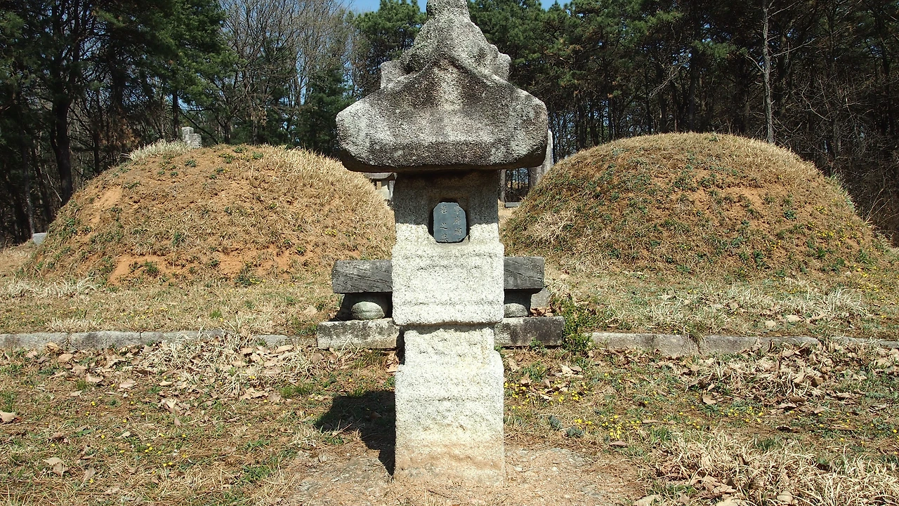 파평윤씨 윤원로(~1547)윤원형의형 문정왕후의남동생 묘 (9).JPG