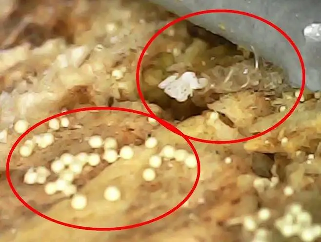 다운로드 (7).jpeg