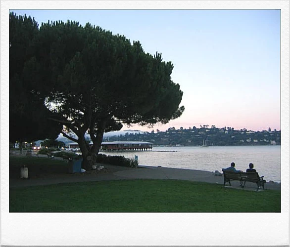 %BC%D2%BB%EC%B8%AE%C5%E4.png?type=w1