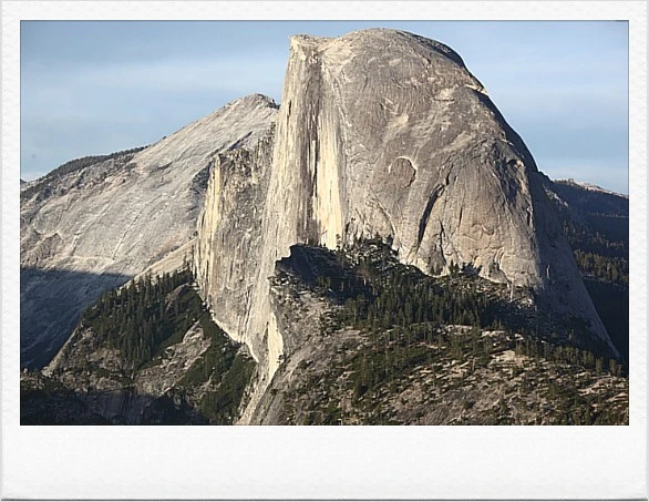 Half_Dorm.png?type=w1