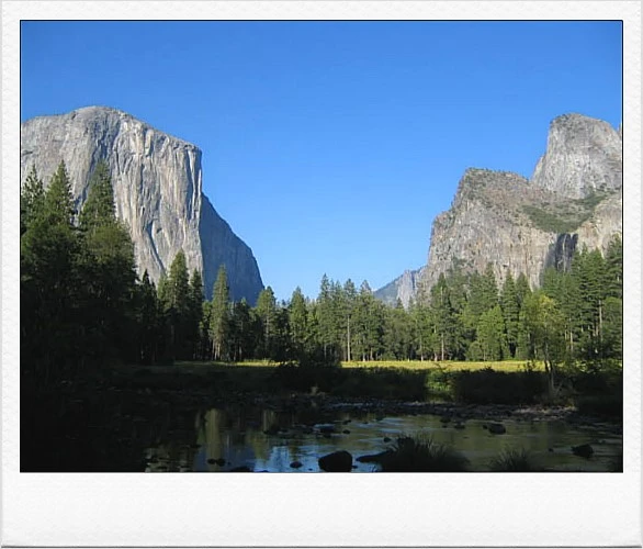 %C7%CF%C7%C1%B5%BC.png?type=w1