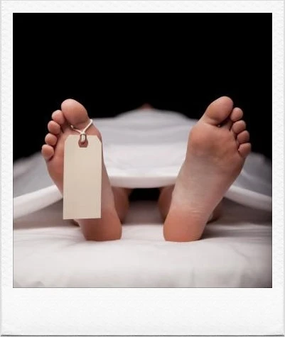 Limited_Life_Span.png?type=w1