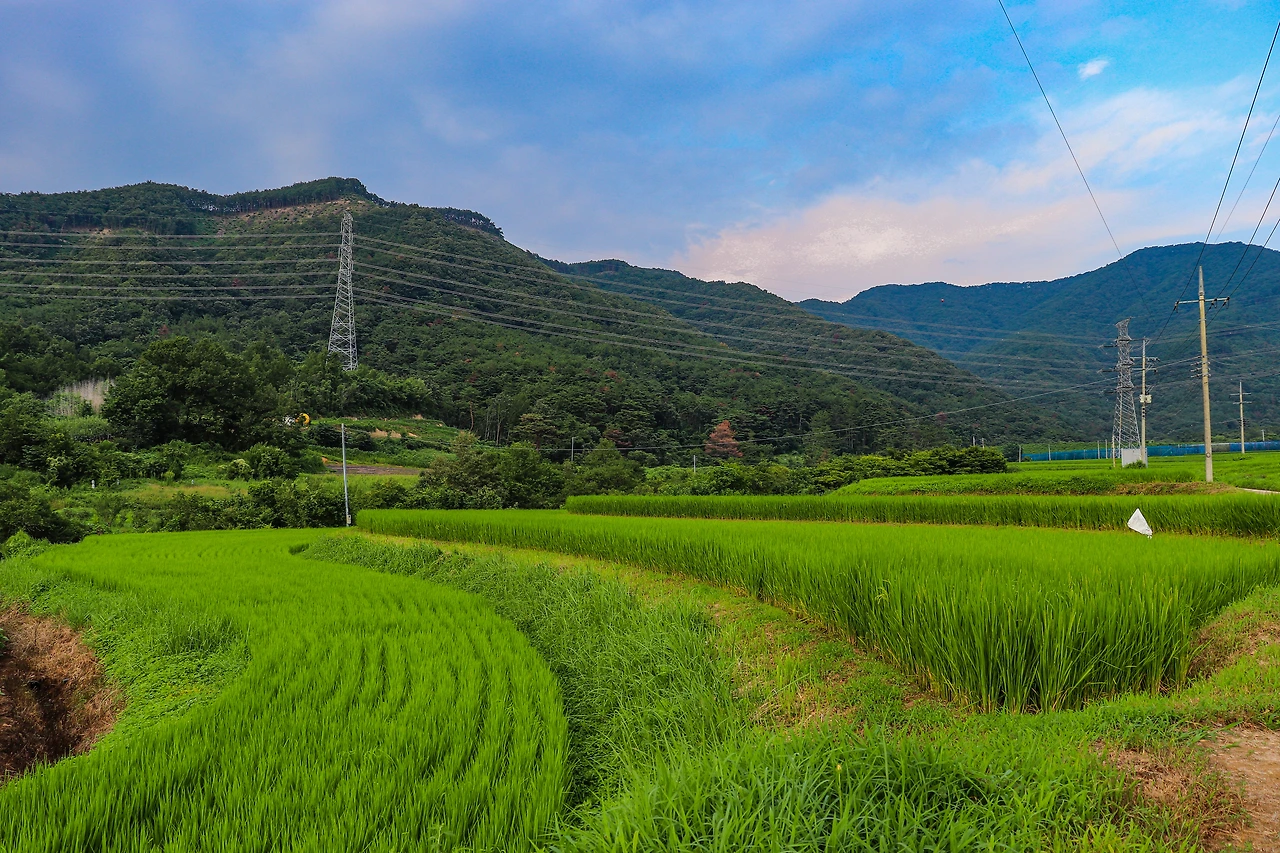 IMG_2260 복사본.JPG