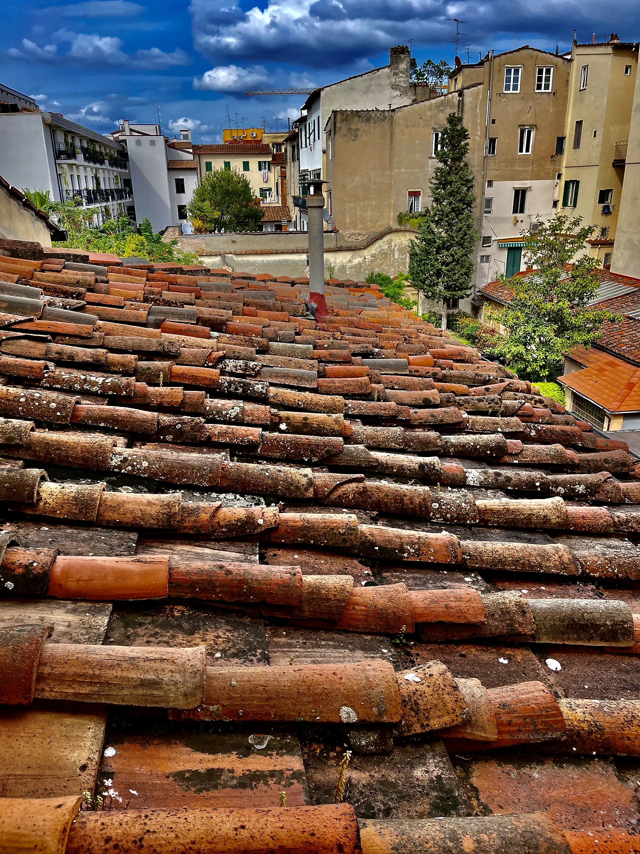 20230428_142306270_iOS 1.heic