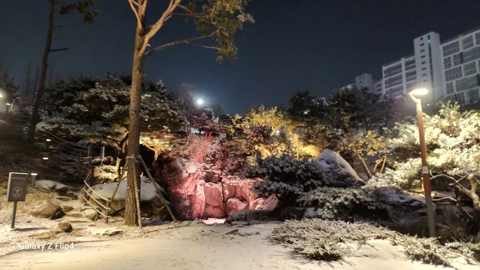 1000024455.jpg?type=w966