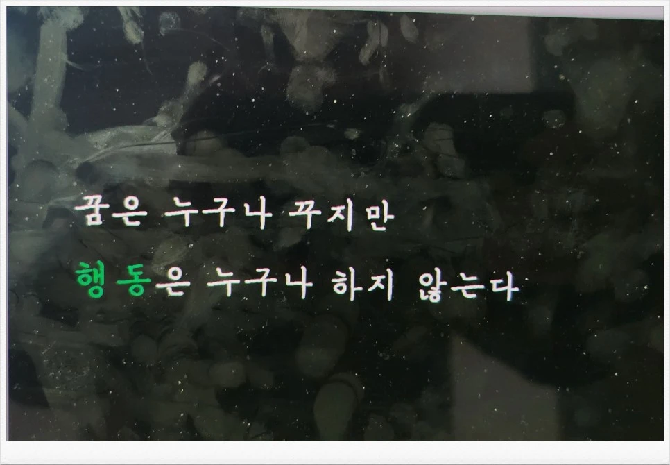 SE-b6e8e1c4-b00e-11ee-9984-35c2a1671bf1.jpg?type=w966