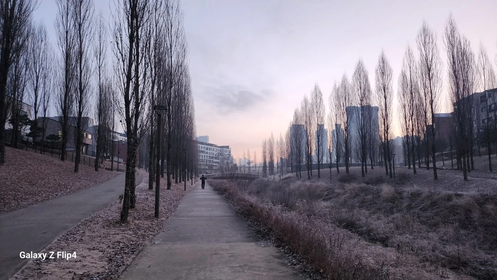 1000024167.jpg?type=w966